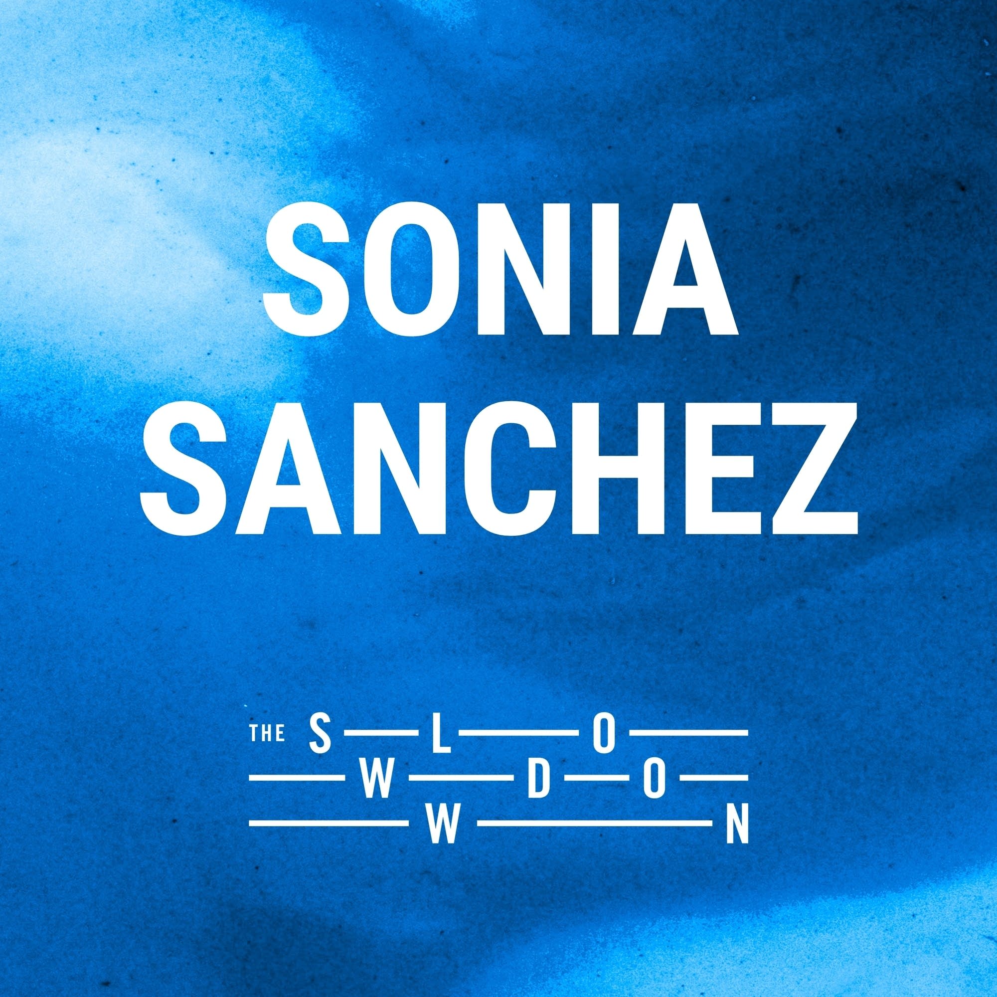 1312: small comment by Sonia Sanchez - The Slowdown: Poetry & Reflection Daily cover