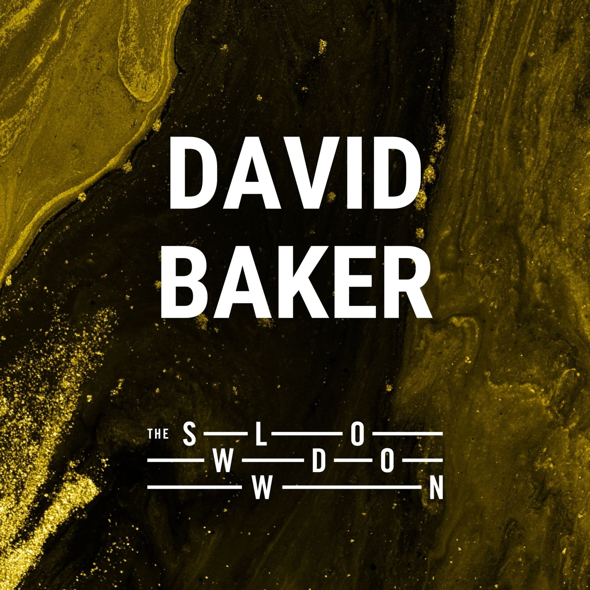 1391: Never-ending Birds by David Baker - The Slowdown: Poetry & Reflection Daily cover