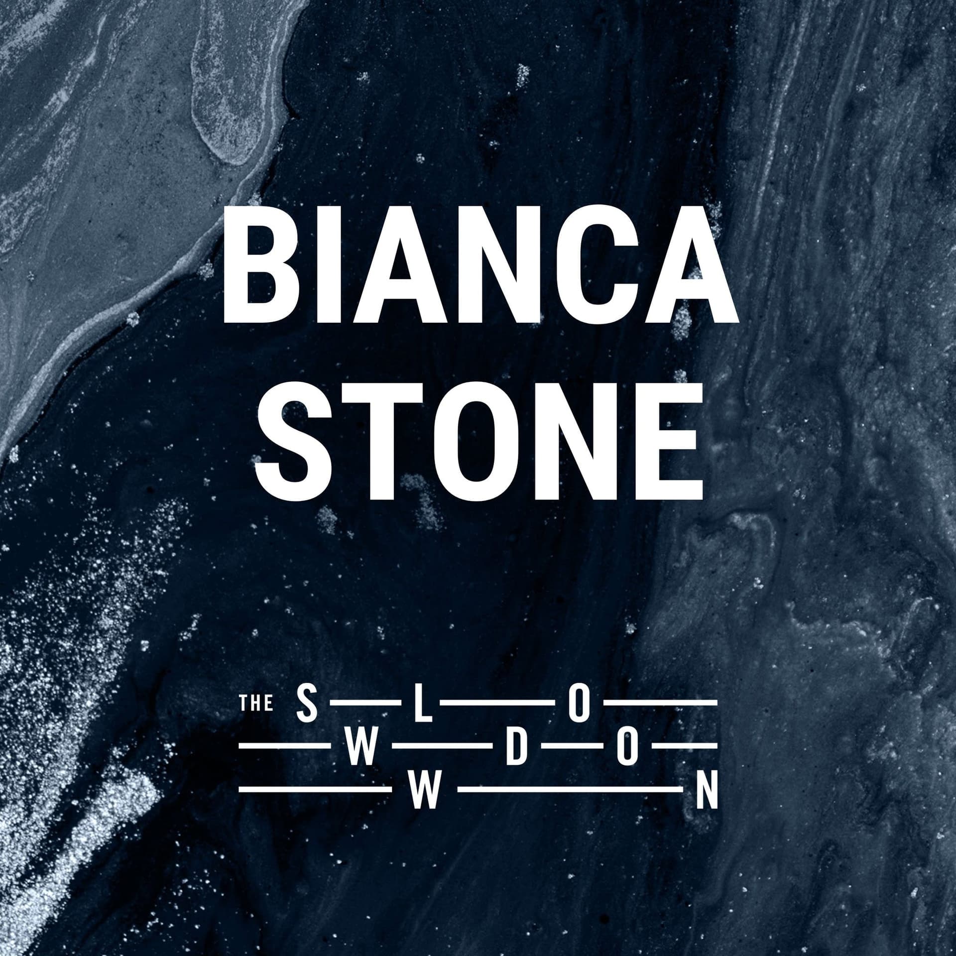 1425: The Ship by Bianca Stone - The Slowdown: Poetry & Reflection Daily cover