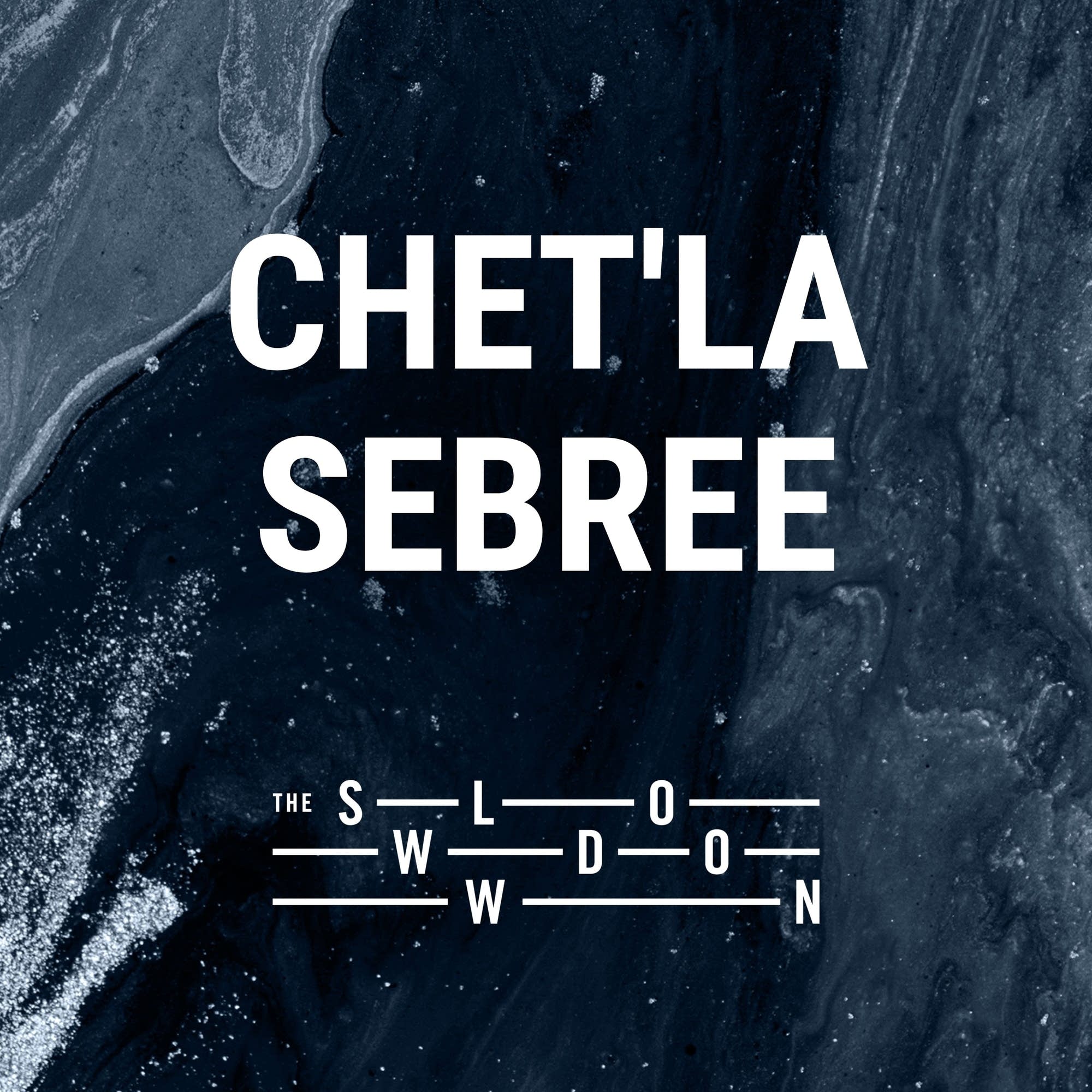1405: Entry by Chet'la Sebree - The Slowdown: Poetry & Reflection Daily cover