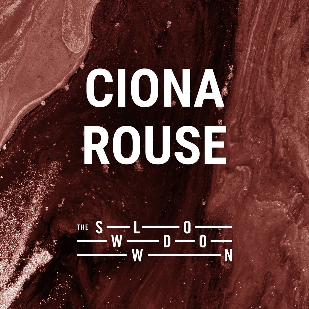 1383: The Situation in Our City by Ciona Rouse - The Slowdown: Poetry & Reflection Daily cover