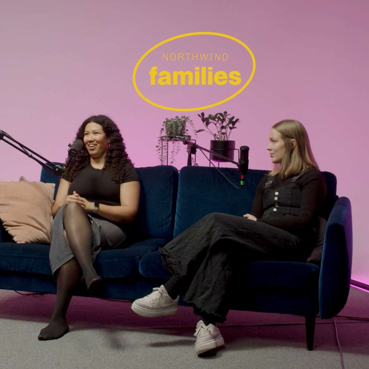 Äitiys: Siunatussa tilassa (vieraana Crystal Chambers) - Northwind Families cover