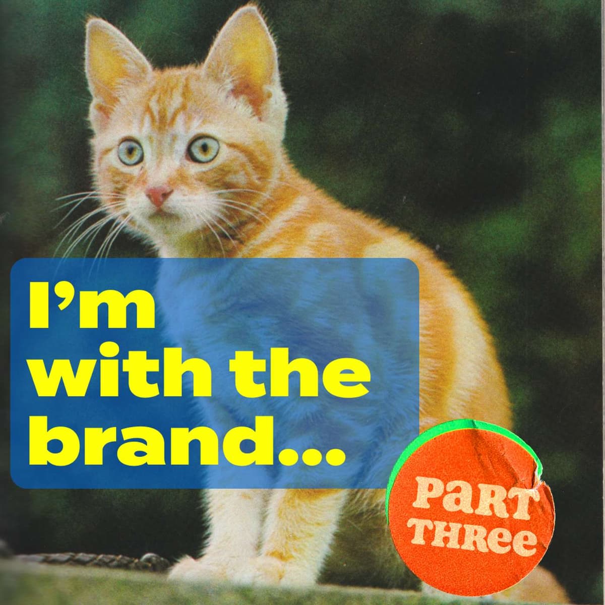 Episode 241: I'm With The Brand (unpacking how brands influence our brains), part three - Clotheshorse with Amanda Lee McCarty cover