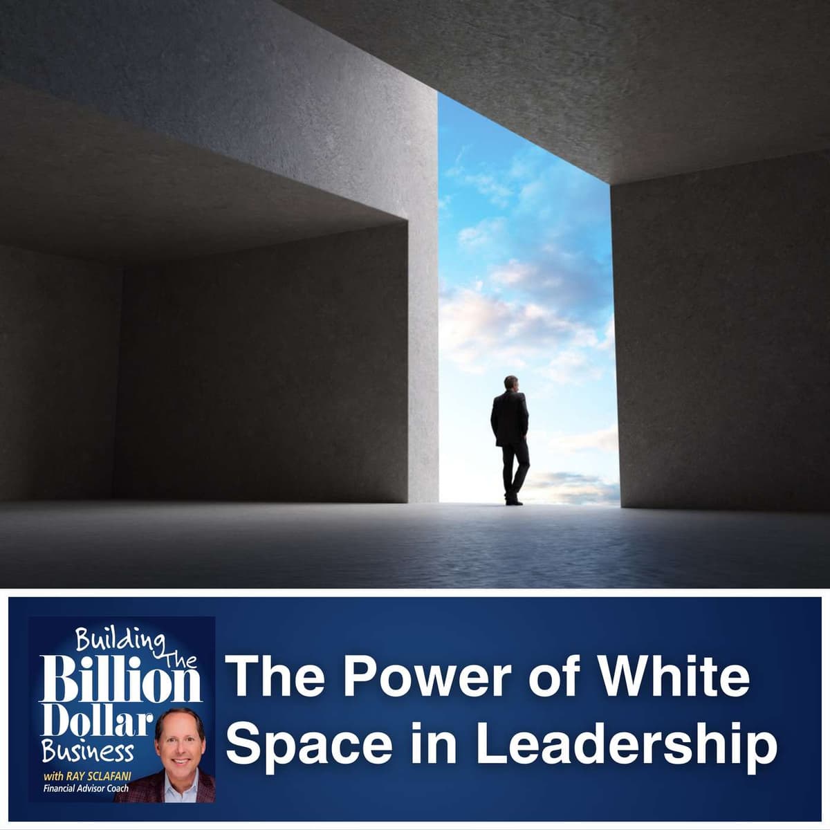 The Power of White Space in Leadership - Building The Billion Dollar Business cover