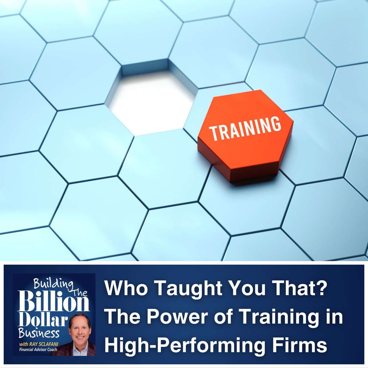 Who Taught You That? The Power of Training in High-Performing Firms - Building The Billion Dollar Business cover