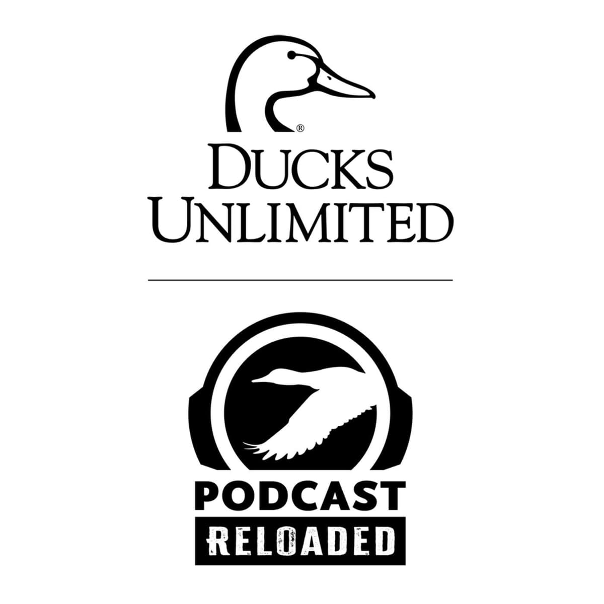 RELOADED EP236 - The Physics of Shotgunning w/ Phil Bourjaily - Ducks Unlimited Podcast cover