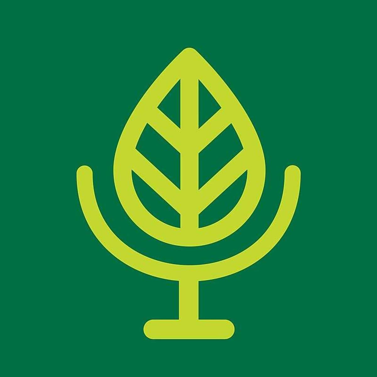 Revisiting: More Than a Game - Terra Informa cover