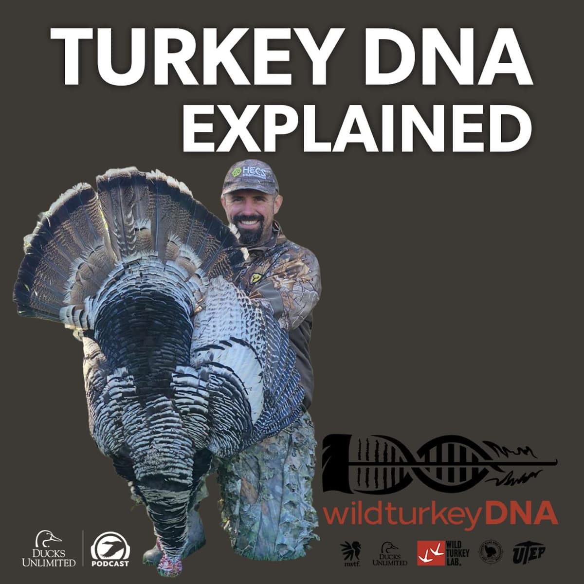 wildturkeyDNA: Year One Surprises, Odd Plumage, and Big Plans for 2026 (Ep 752) - Ducks Unlimited Podcast cover