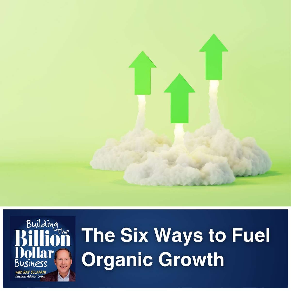 The Six Ways to Fuel Organic Growth - Building The Billion Dollar Business cover