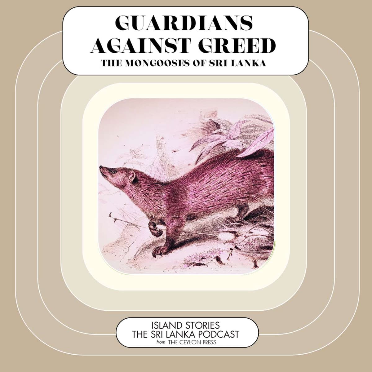 Guardians Against Greed: The Mongooses Of Sri Lanka - The Sri Lanka Podcast: Island Stories cover