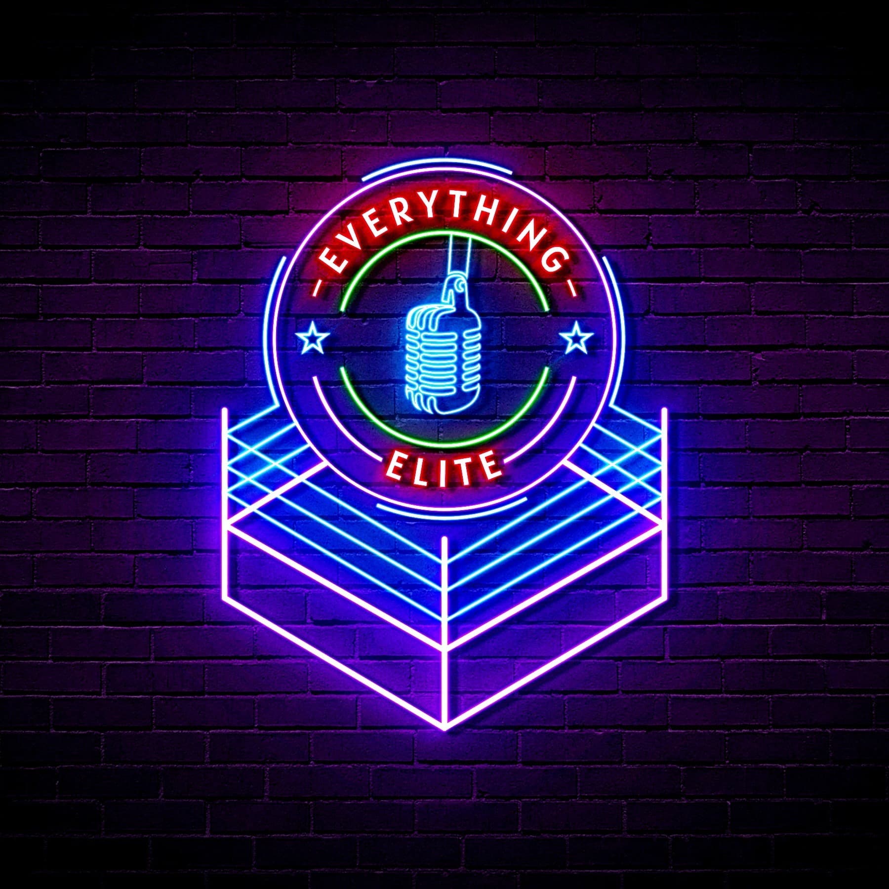 Everything Elite cover