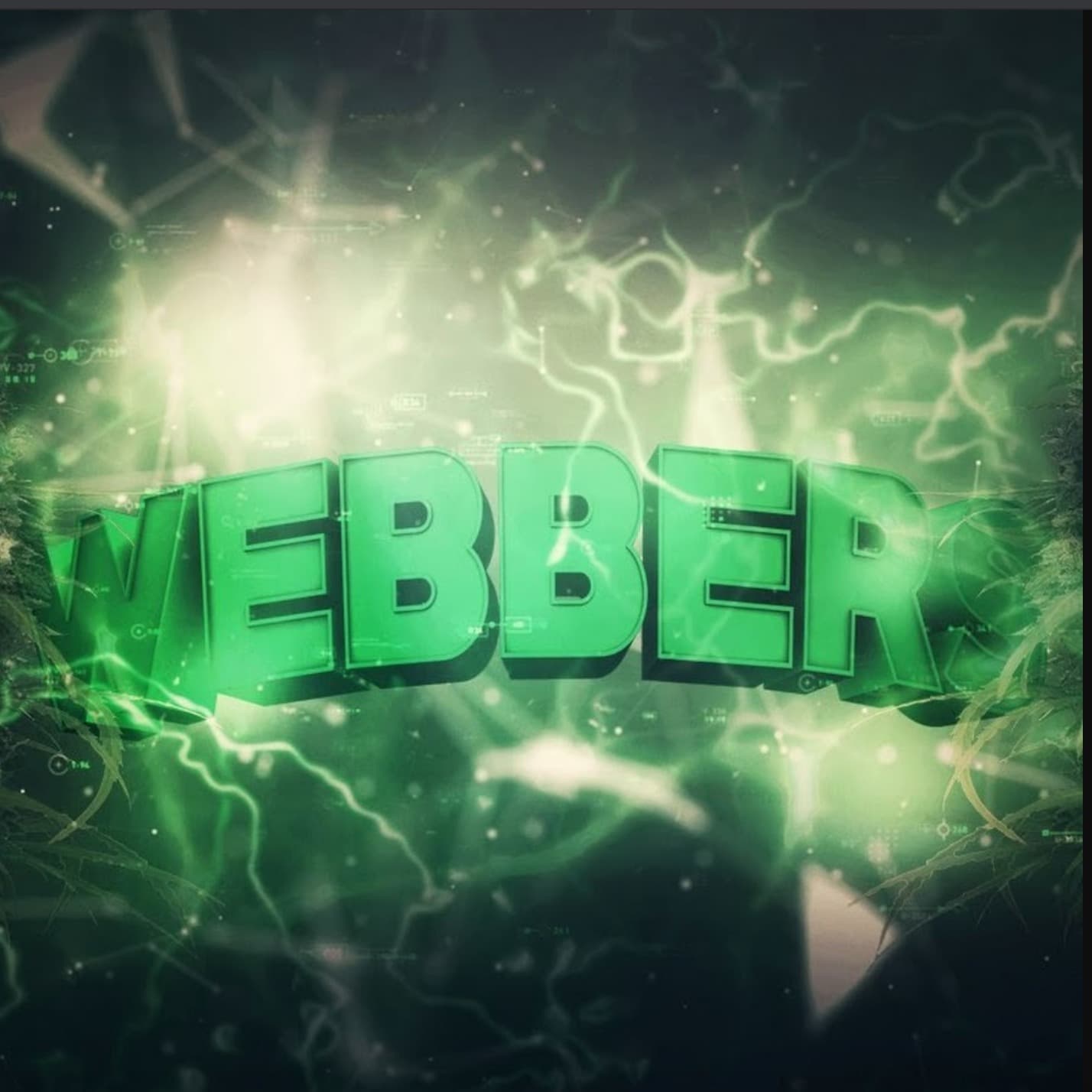 Webber Family cover