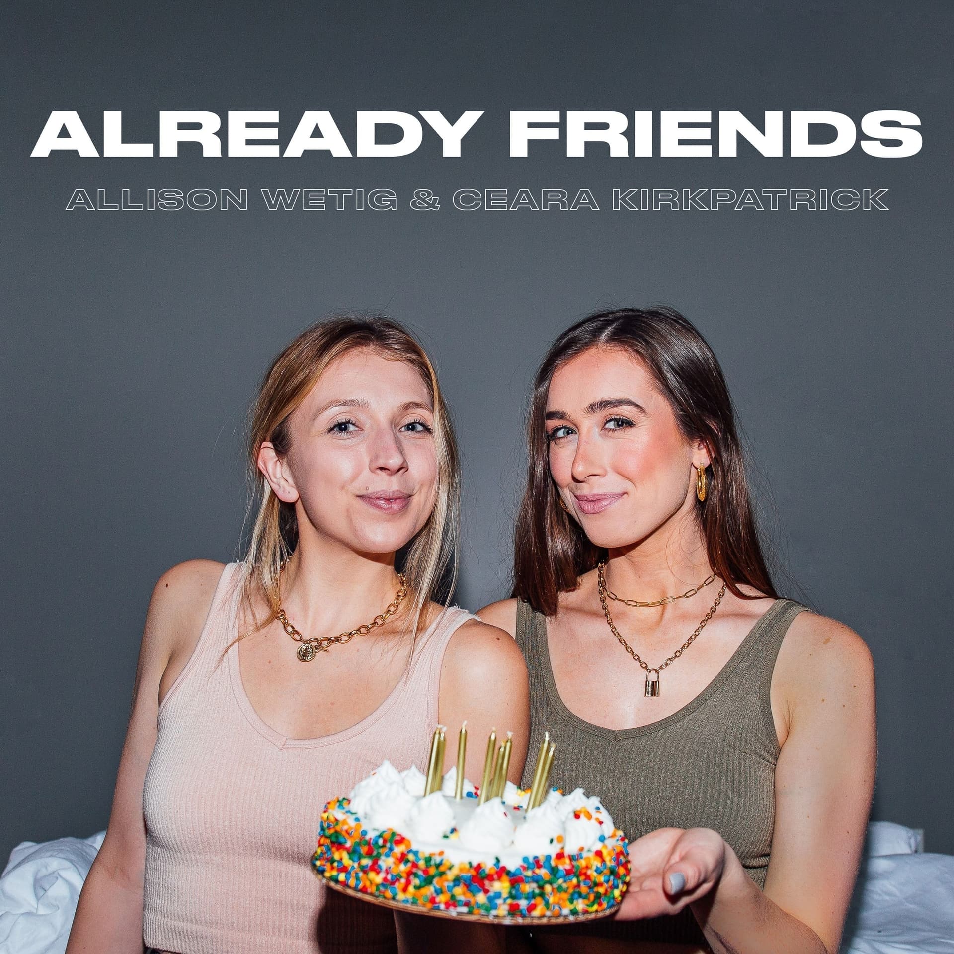 Already Friends cover