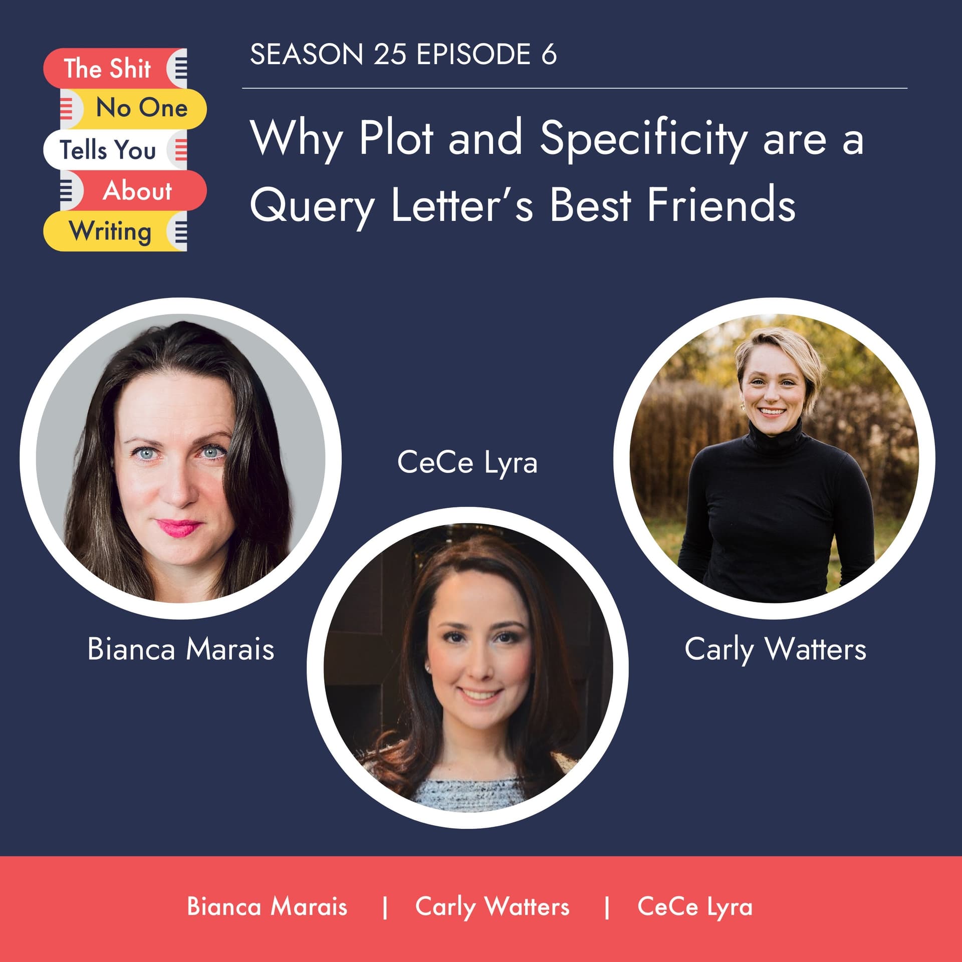 Why Plot and Specificity are a Query Letter's Best Friends - The Shit No One Tells You About Writing cover