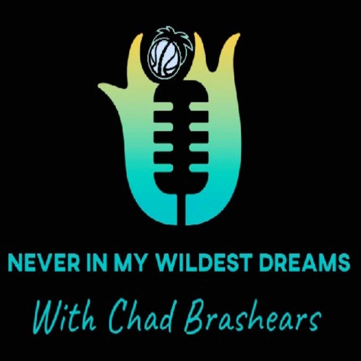 Episode 4- Ask Yourself these 5 Questions - Never in my Wildest Dreams Podcast cover