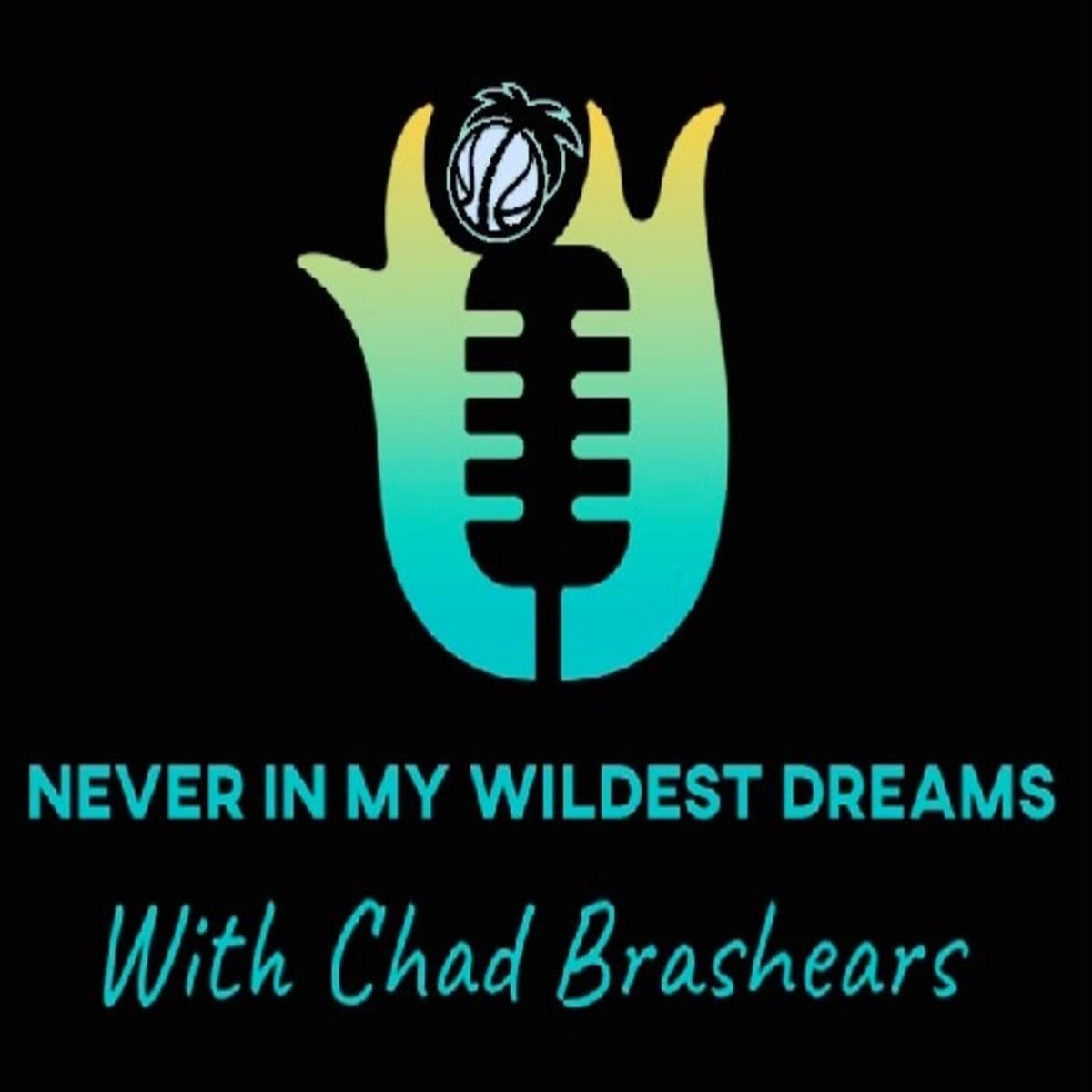 Riding the wave of life - Never in my Wildest Dreams Podcast cover