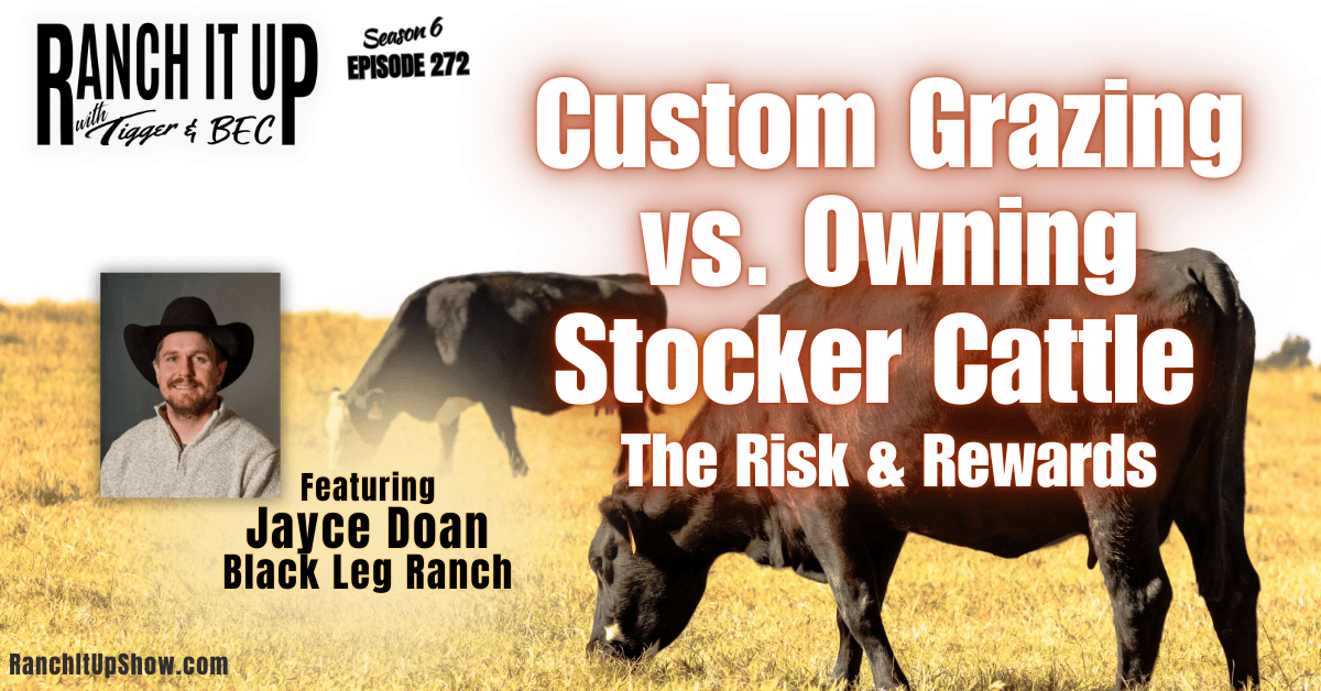 Custom Grazing Vs. Owning Stocker Cattle. The Risk & Reward — Ranch It Up Radio Show & Podcast cover