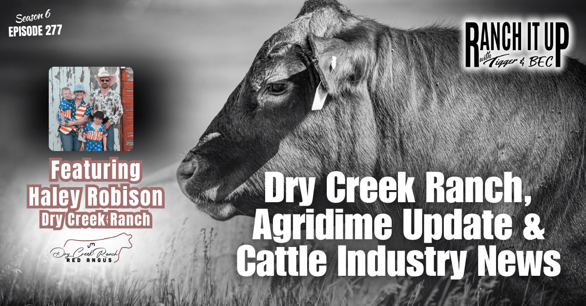 Dry Creek Ranch, Agridime Update & Cattle Industry News - Ranch It Up Radio Show & Podcast cover