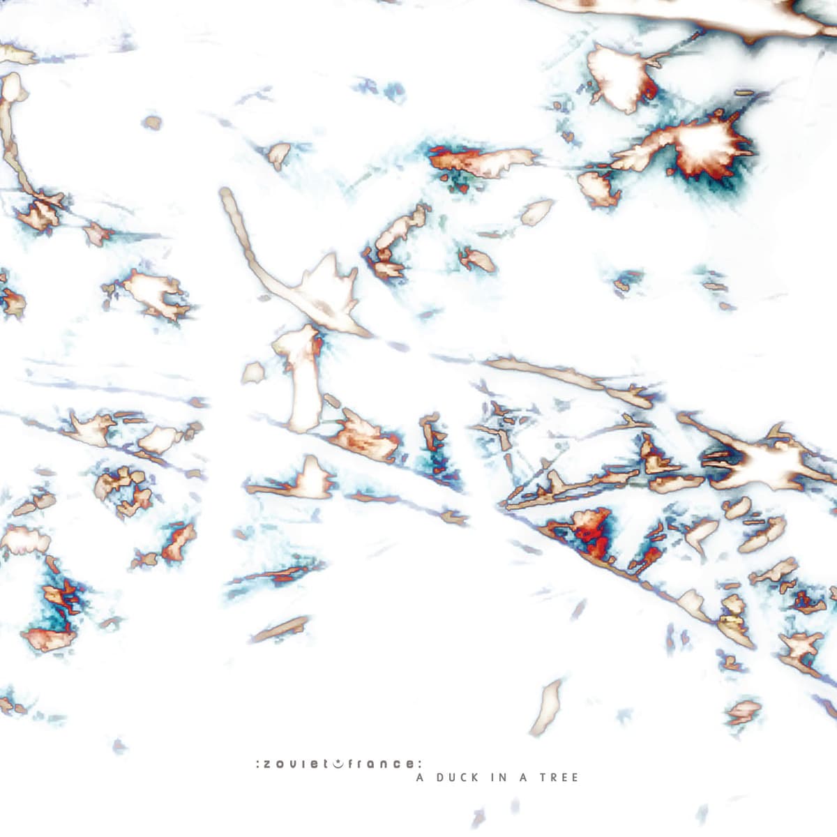 A Duck in a Tree 2026-02-14 | Rolling and Cackling - A Duck in a Tree cover