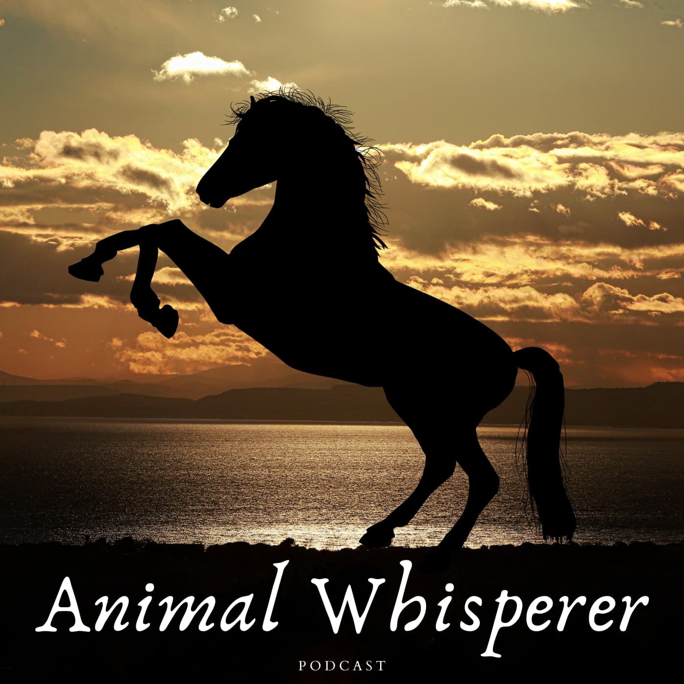 Animal Whisperer cover