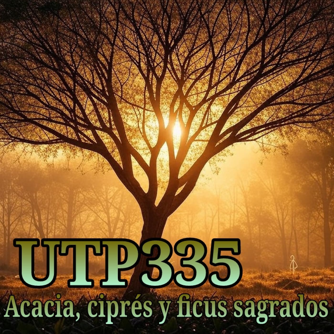 UTP335 Acacia, ciprés y ficus sagrados — Buscadores de la verdad cover