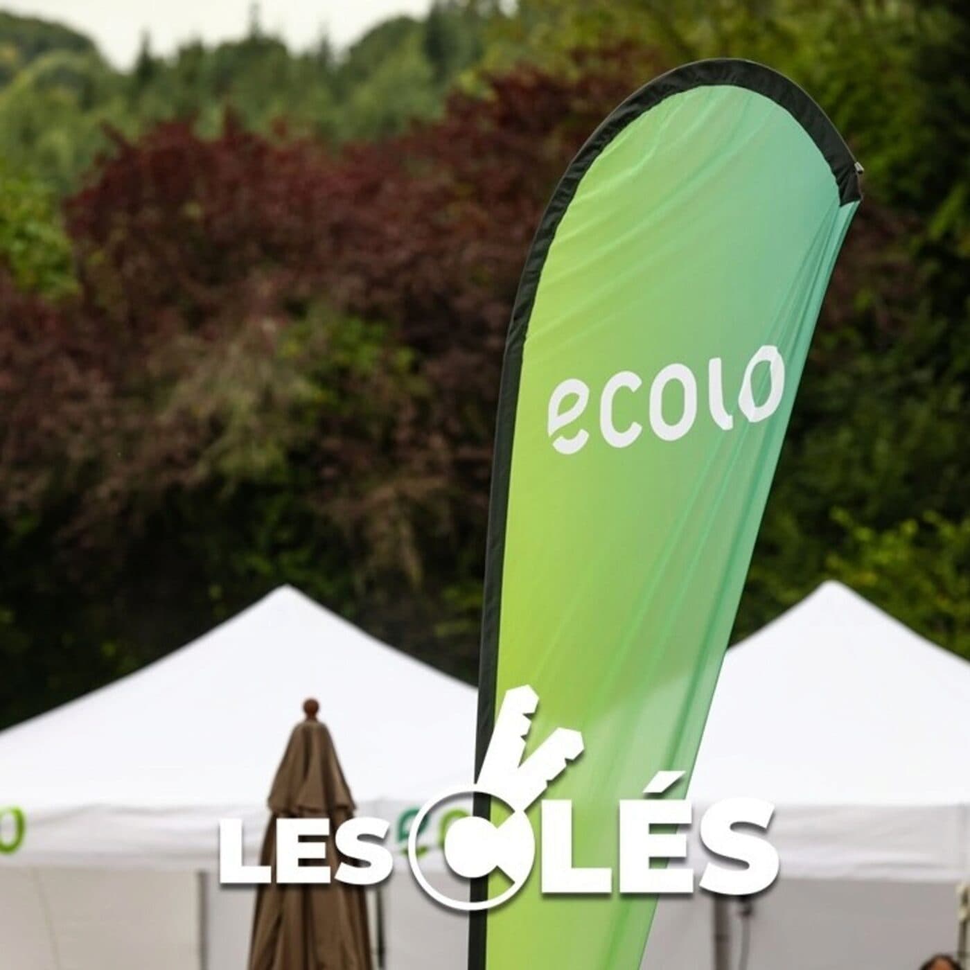 1 an d’Arizona : Ecolo, une crise durable ? (4/5) - Les Clés cover