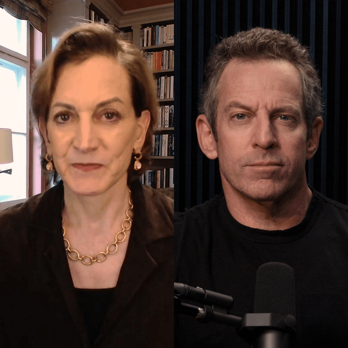 #429 — The New World Order - Making Sense with Sam Harris cover