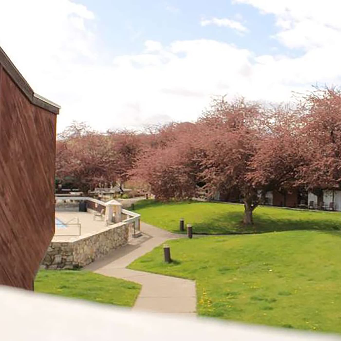 #4465 Suite Talker - TBTL: Too Beautiful To Live cover