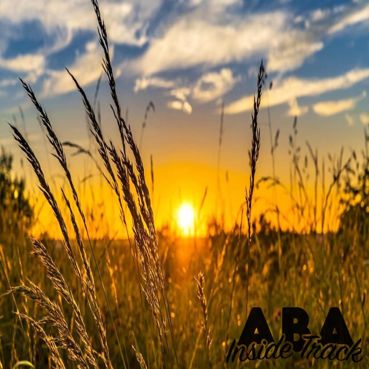 June 2023 Preview - ABA Inside Track cover