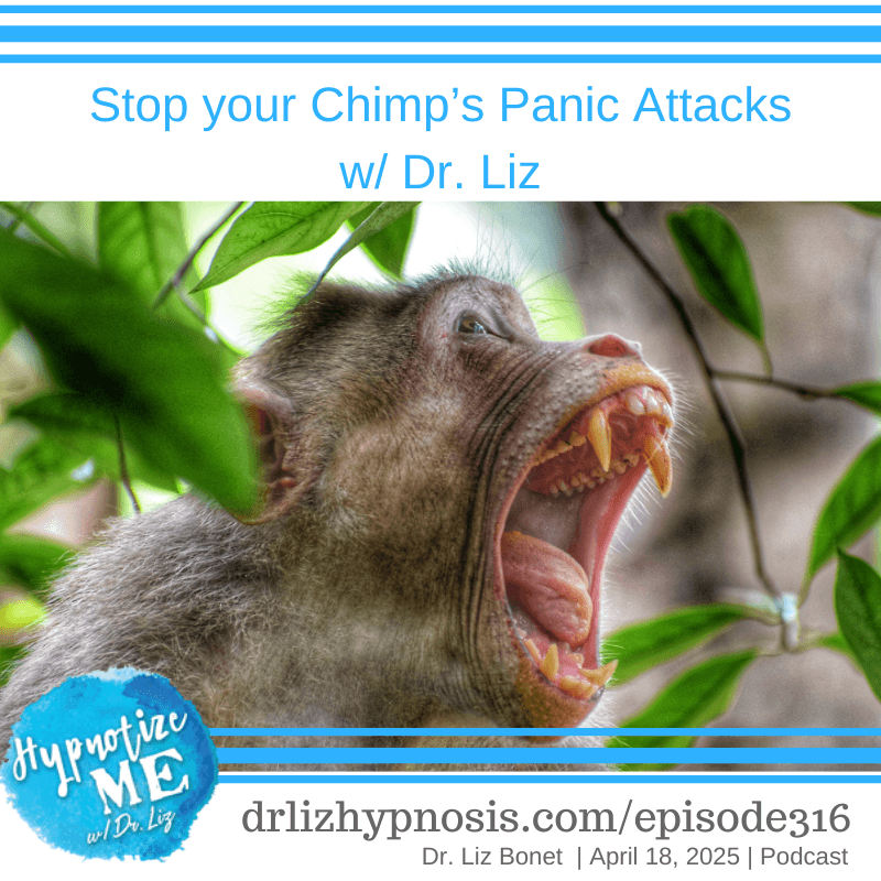 HM316 Stop your Chimp’s Panic Attacks with Dr. Liz - Hypnotize Me cover