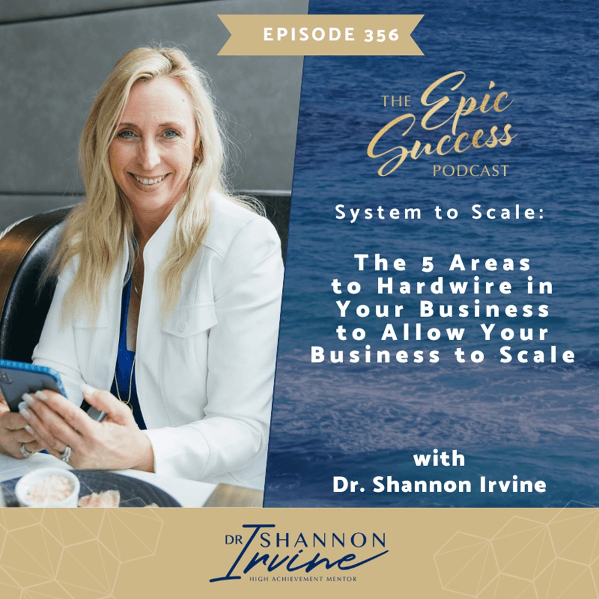 System to Scale: The 5 Areas to Hardwire in Your Business to Allow Your Business to Scale - Epic Success with Dr Shannon Irvine cover