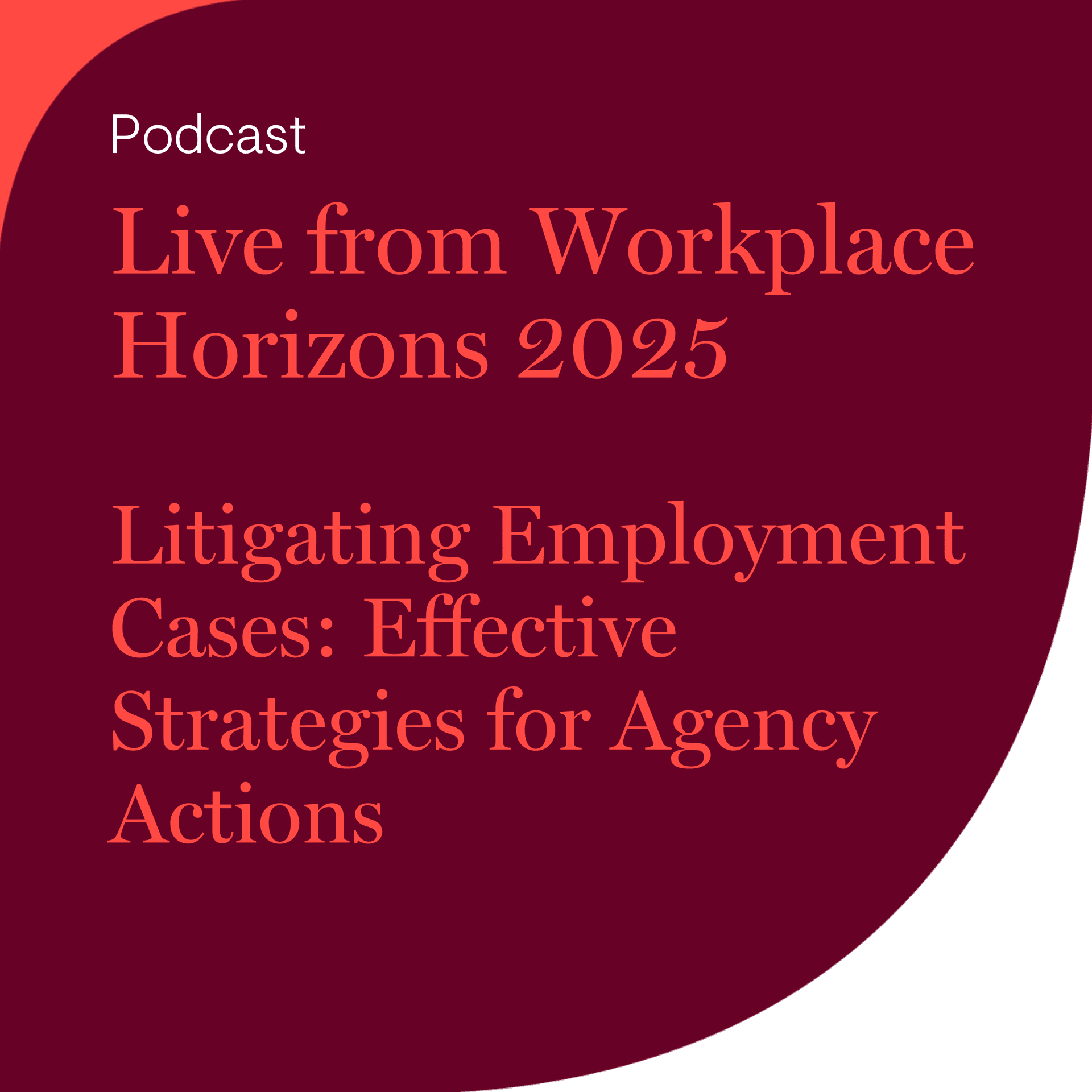 Live from Workplace Horizons 2025 - Litigating Employment Cases: Effective Strategies for Agency Actions - We get work® cover