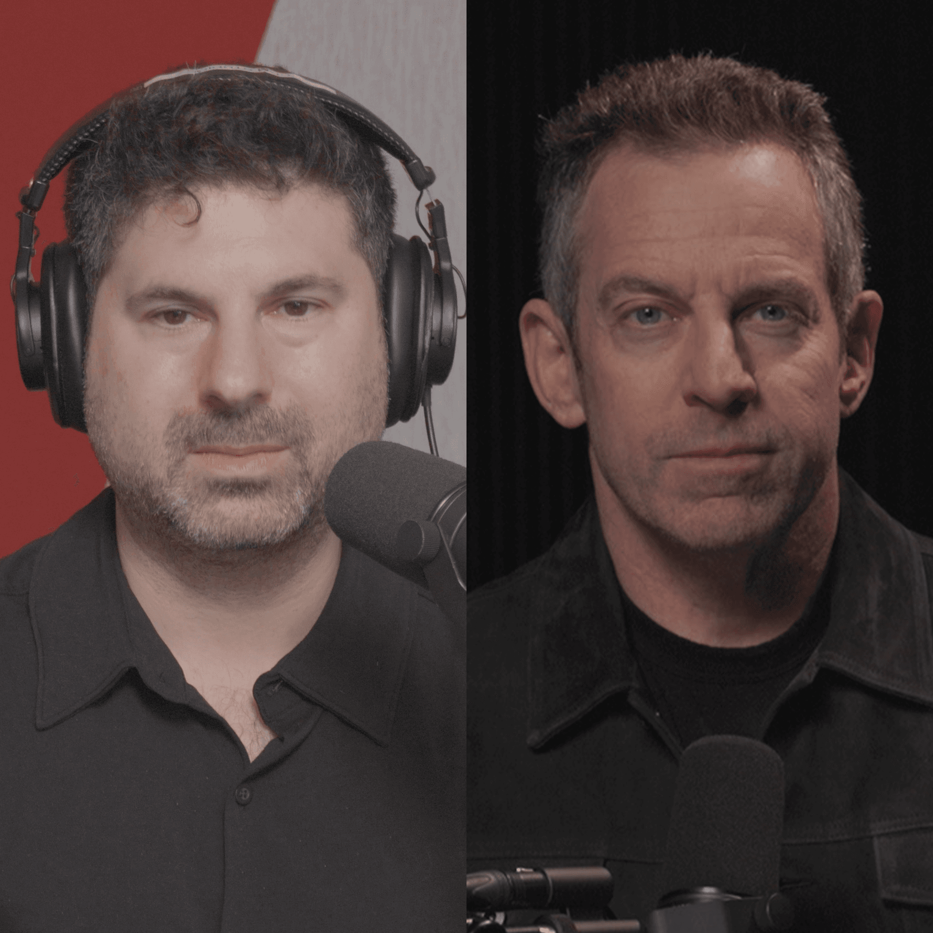 #411 — The Victimhood Pandemic - Making Sense with Sam Harris cover