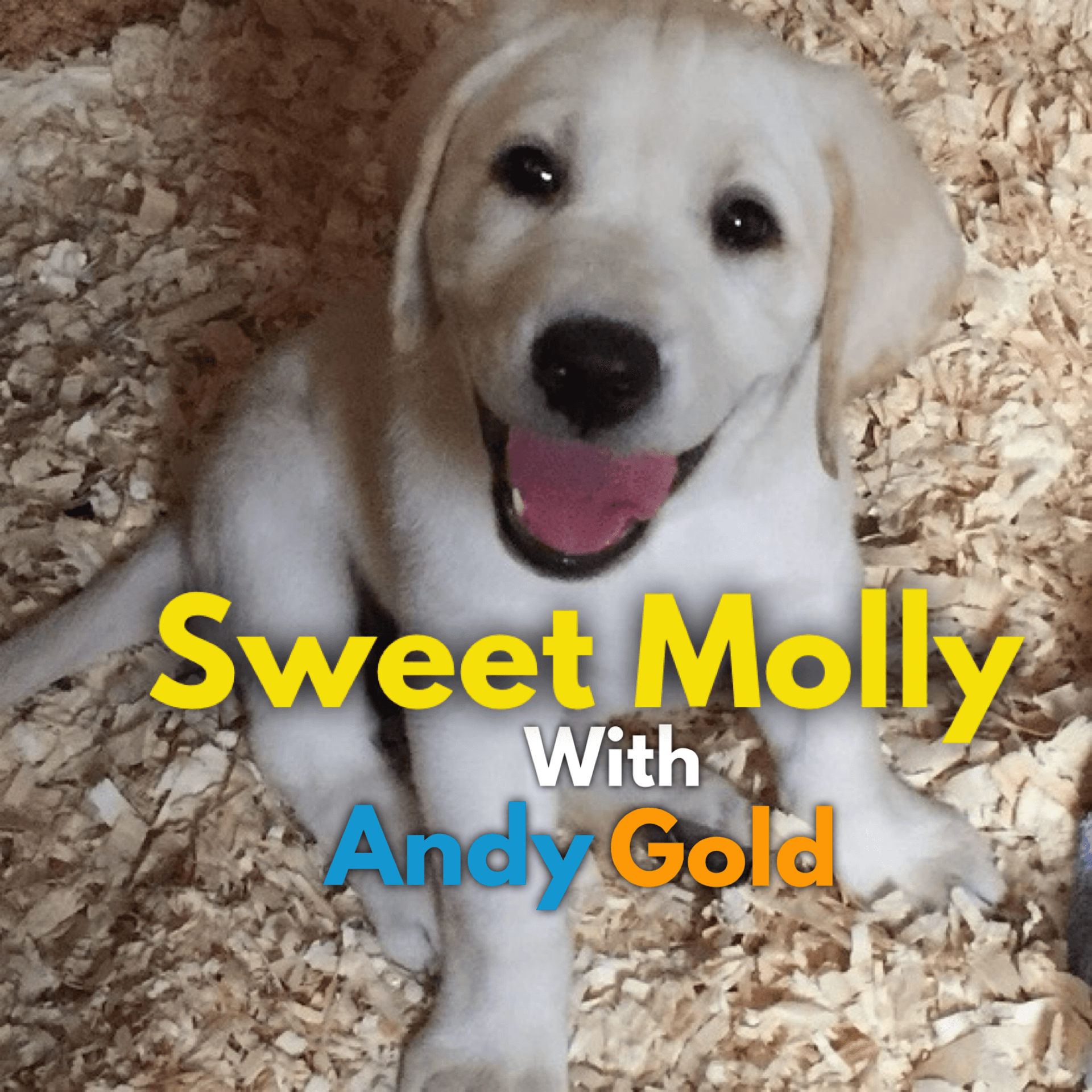 Sweet Molly cover