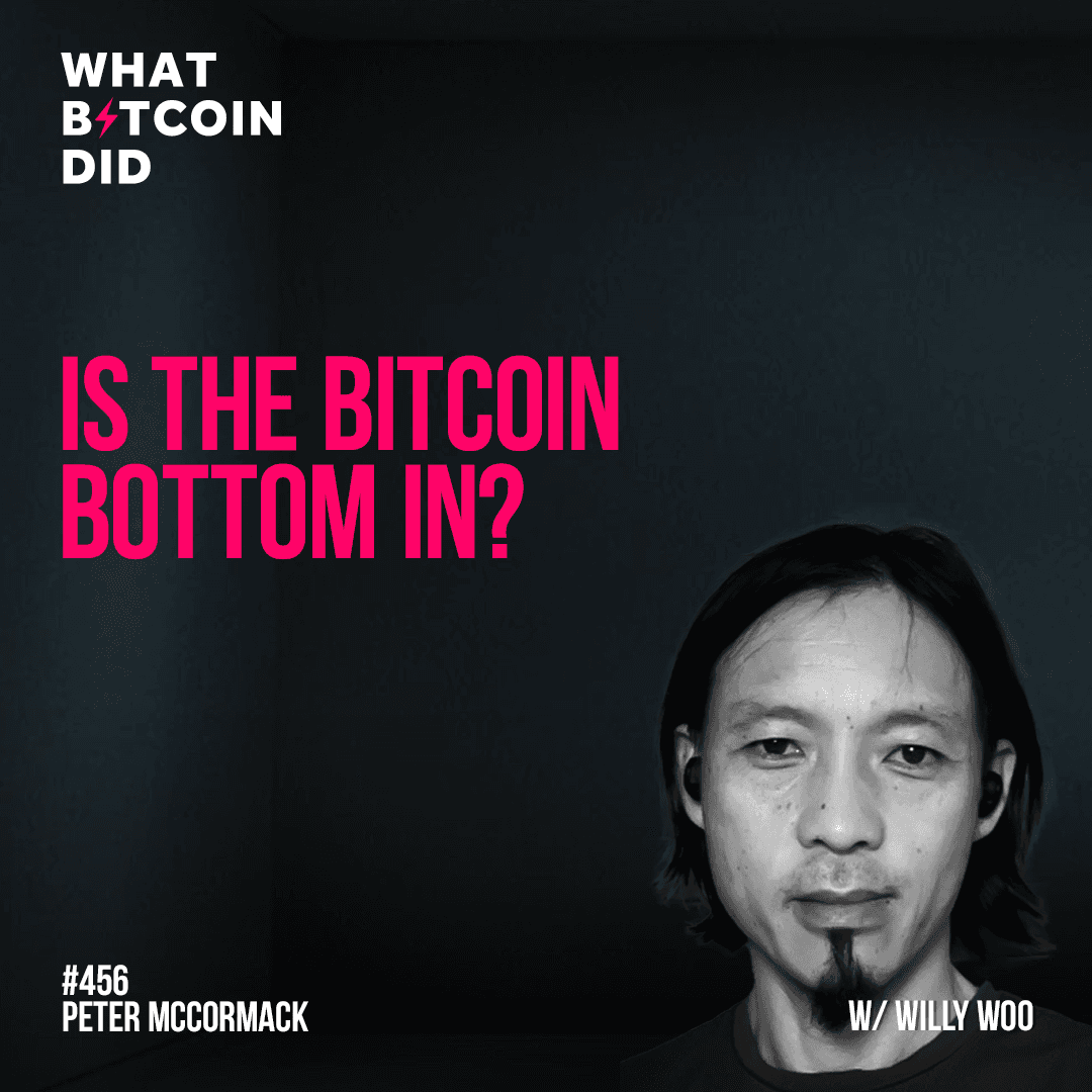 Is the Bitcoin Bottom in? with Willy Woo - WBD456 - The Peter McCormack Show cover
