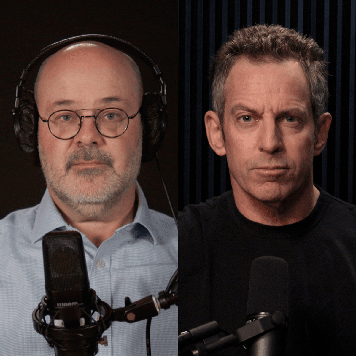 #439 — How to Lose a Democracy - Making Sense with Sam Harris cover