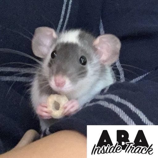 PREVIEW - The Science of Consequences Book Club - ABA Inside Track cover