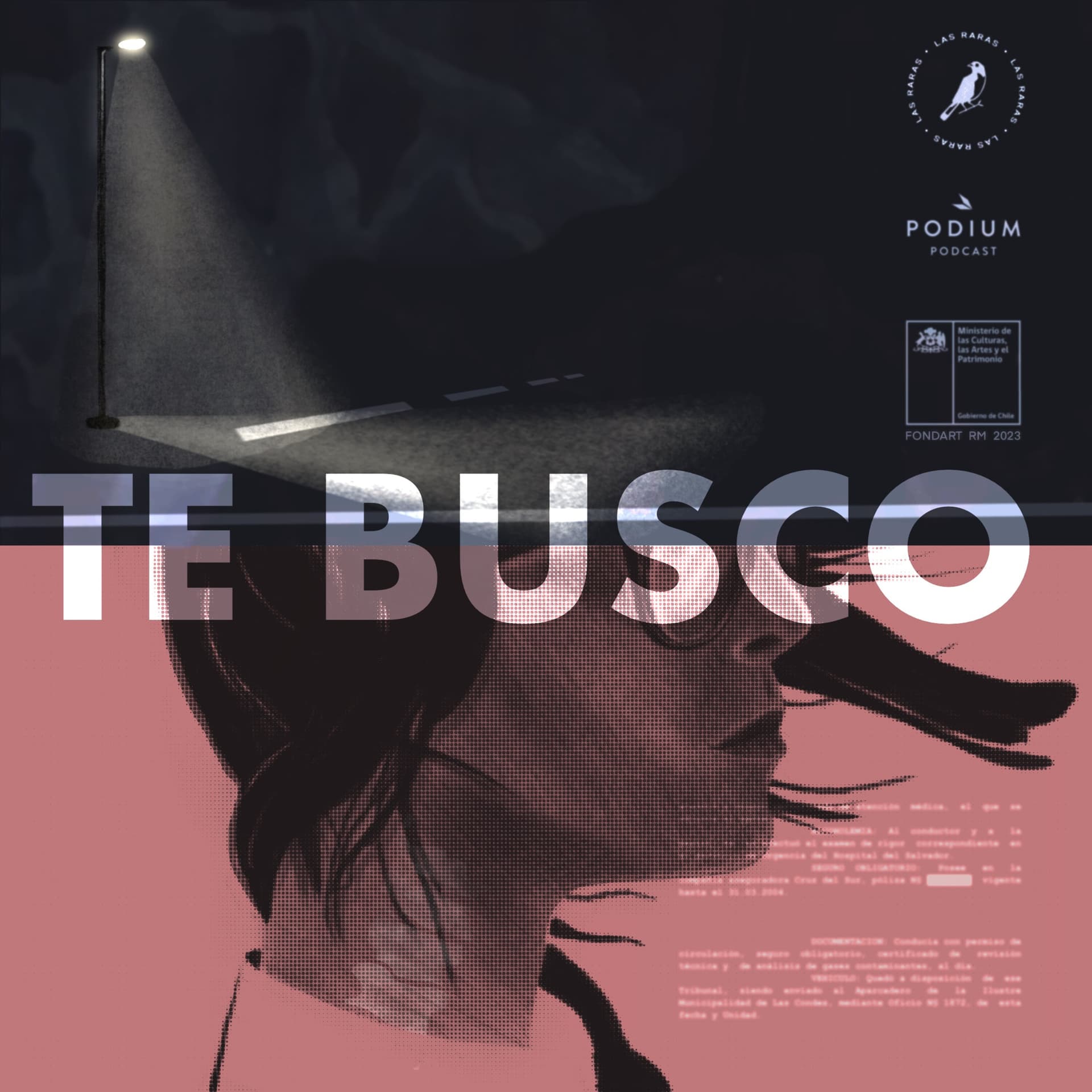 TE BUSCO - Episodio 7: Disociación - Las Raras cover