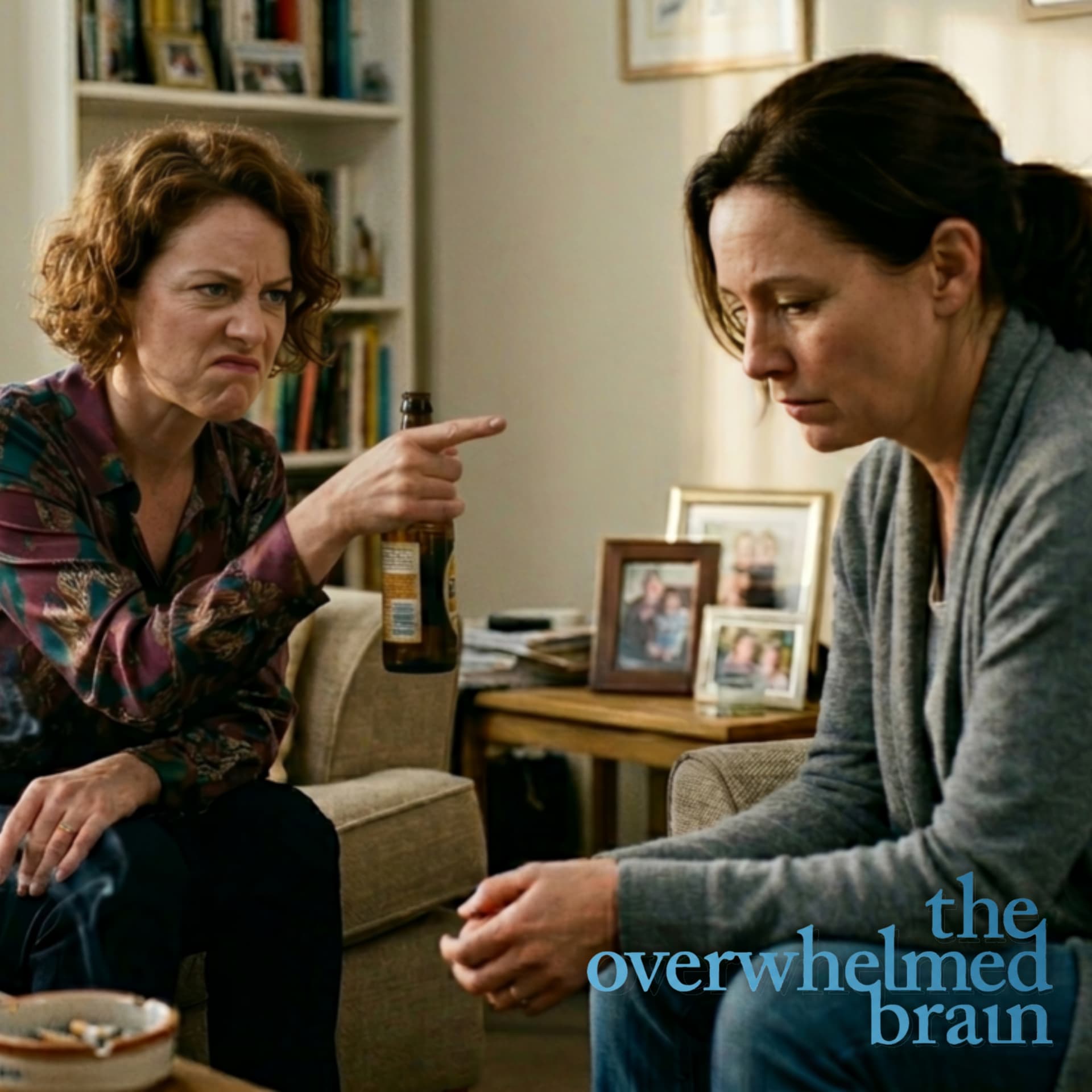 They do wrong, you get blamed - The Overwhelmed Brain cover