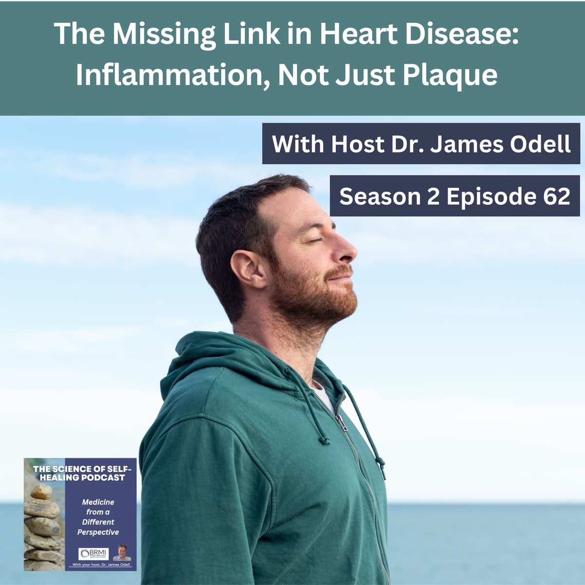 The Missing Link in Heart Disease: Inflammation, Not Just Plaque - The Science of Self-Healing cover