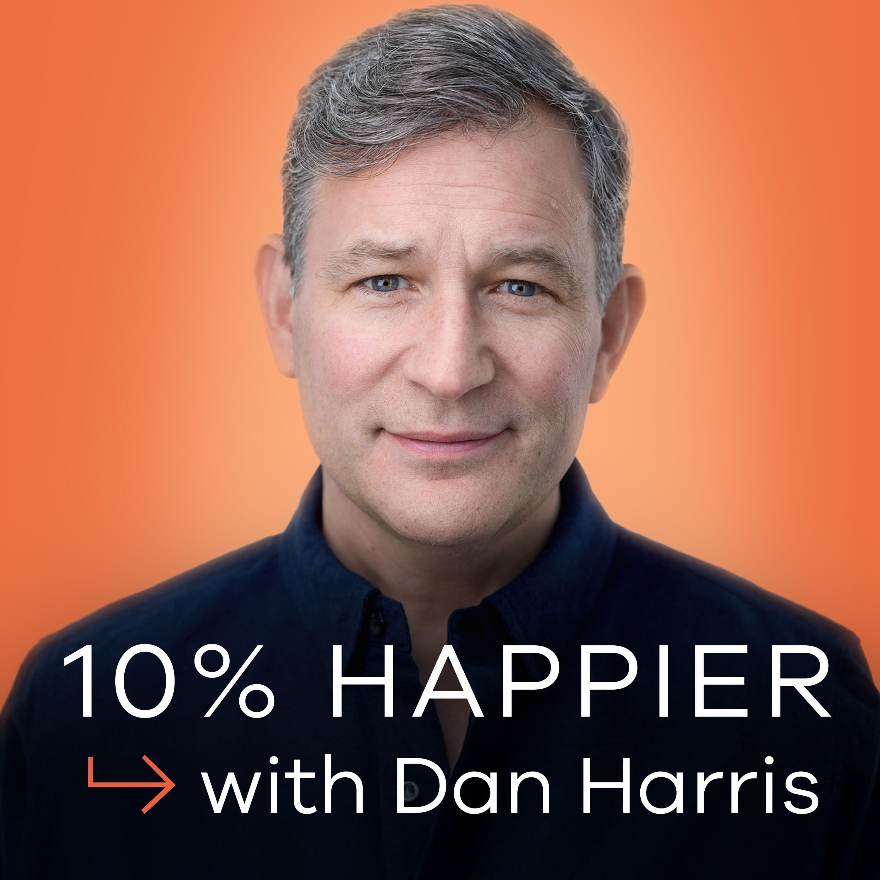 How To Get a Fluffy Hippocampus with Wendy Suzuki | Get Fit Sanely Listener Picks - 10% Happier with Dan Harris cover