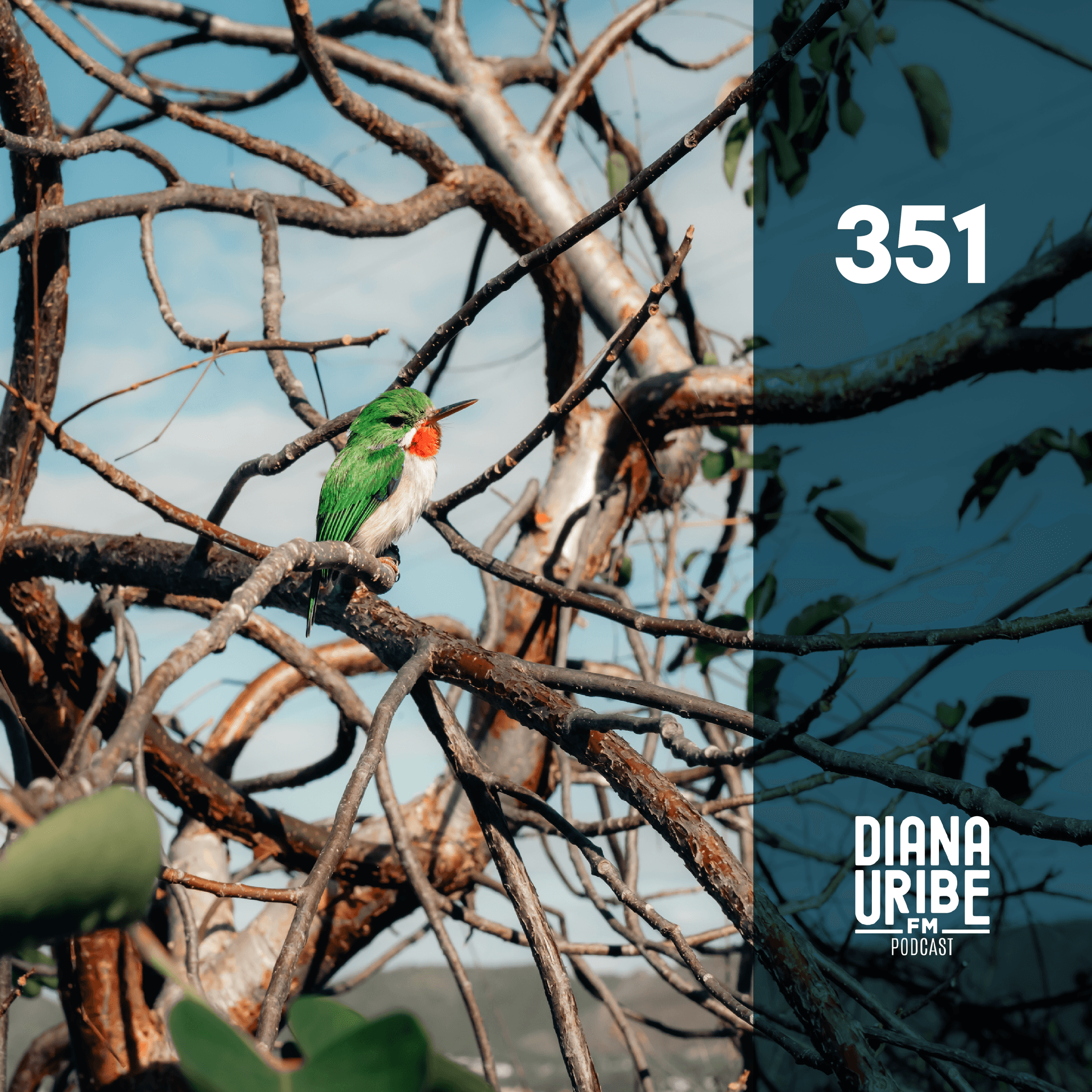 Puerto Rico IV: La naturaleza que habita la isla - DianaUribe.fm cover
