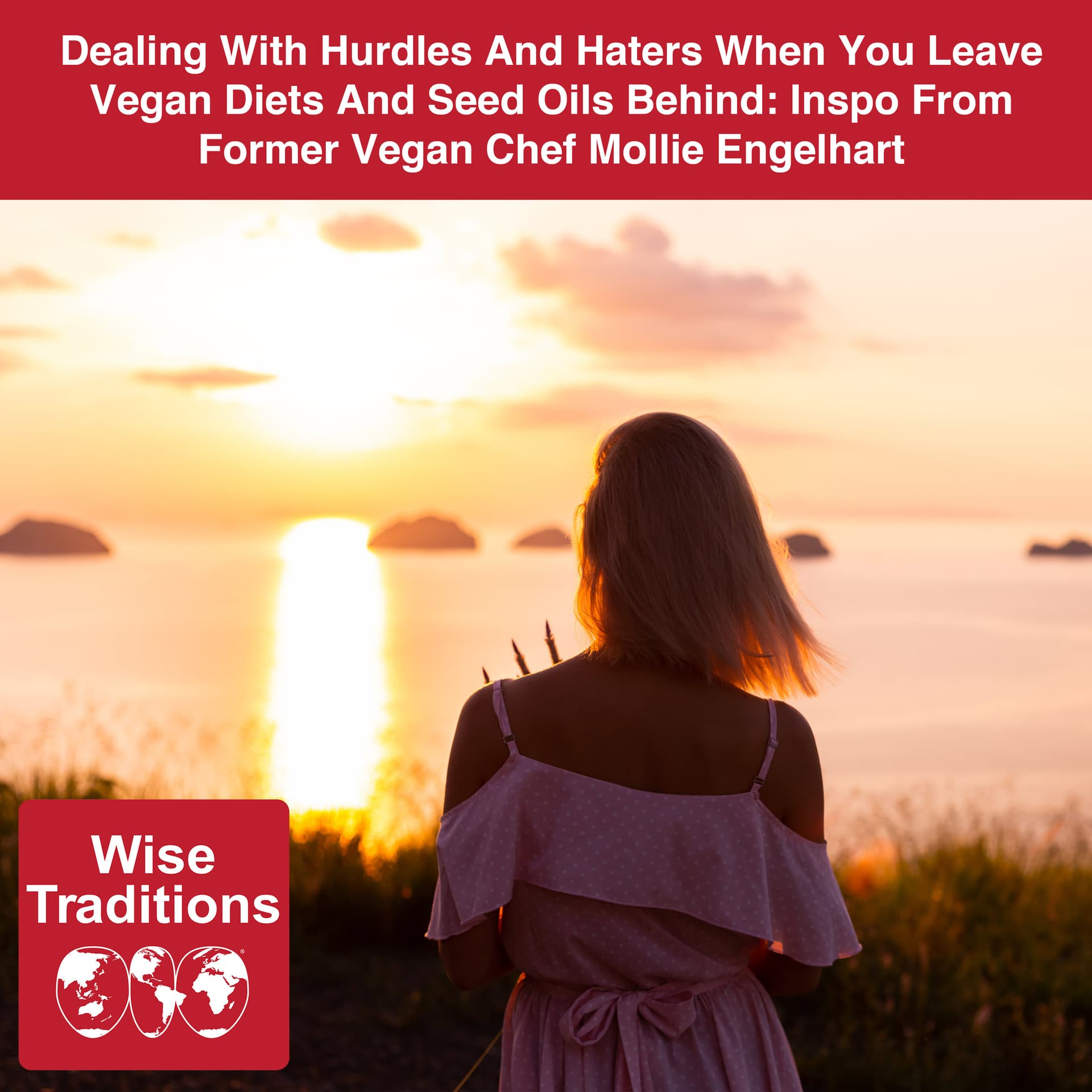 514: Dealing With Hurdles And Haters When You Leave Vegan Diets And Seed Oils Behind: Inspo From Former Vegan Chef Mollie Engelhart — Wise Traditions cover