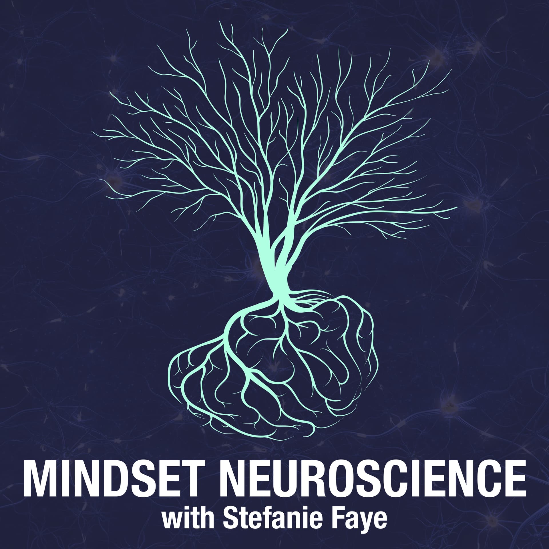Resilience isn’t built by staying calm: how your brain-body actually heals — Mindset Neuroscience Podcast cover