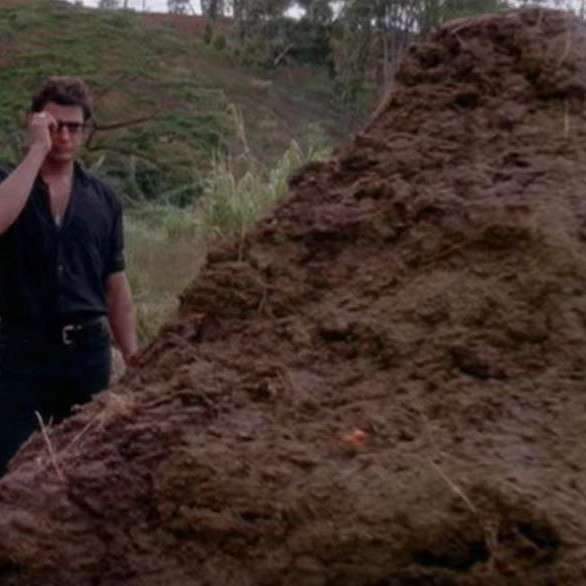 That is one big pile of shit - The US Foxes Podcast- Leicester City from an American perspective cover